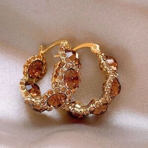 Elegant crystal Hoop Earrings